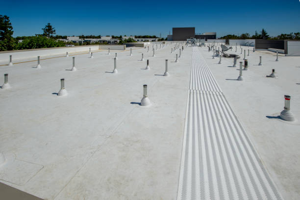 Best Metal Roofing Installation  in Raymond, WA